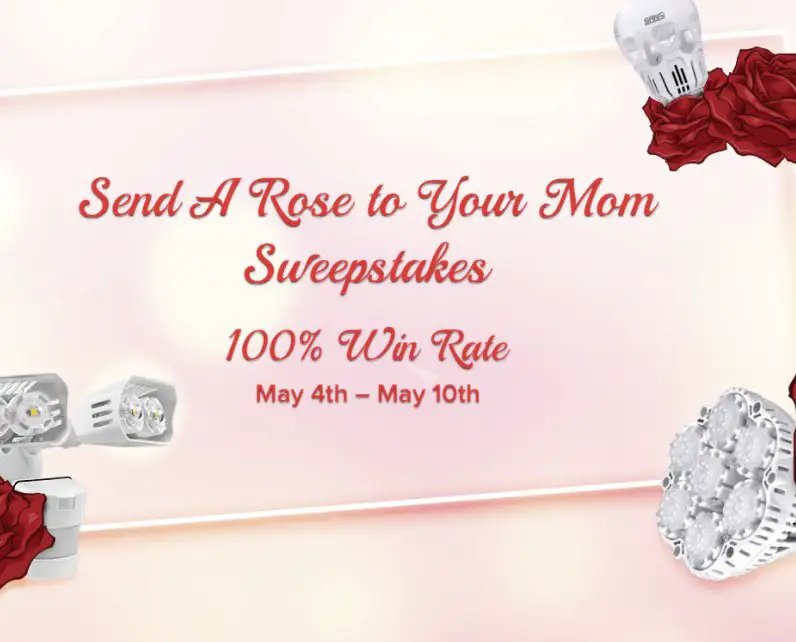 Win $250 Roses (LED Lights)
