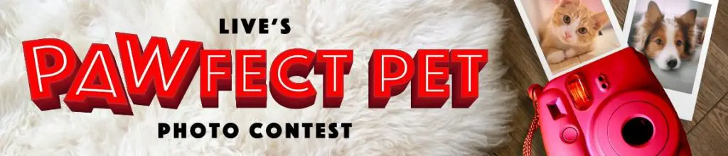 Win $3,000 In The PAWFECT Pet Contest