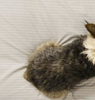 Win $3000+ in Gift Cards and Home Goods