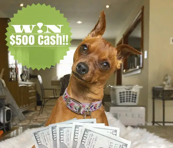 Win $500 Cash