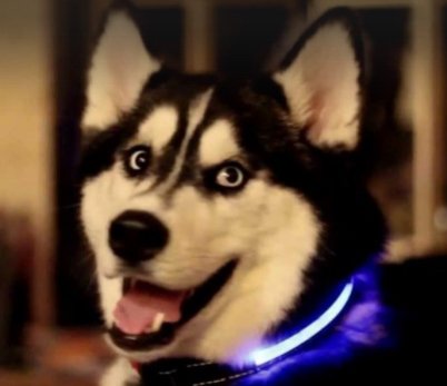 Win $500 In-Store Credit