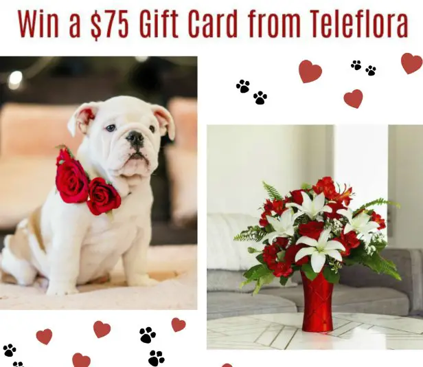 Win a $75 Teleflora Gift Code