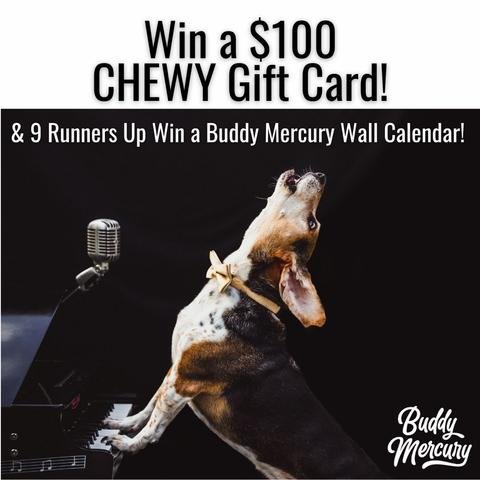 Win A $100 Chewy Gift Card And Give Your Dog A Special Treat