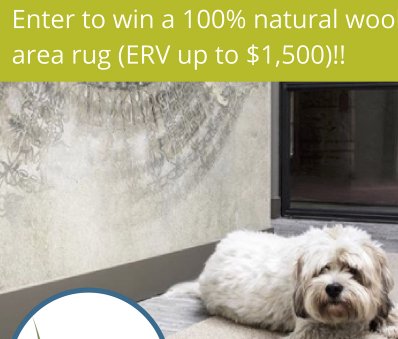 Win a 100% Wool Area Rug