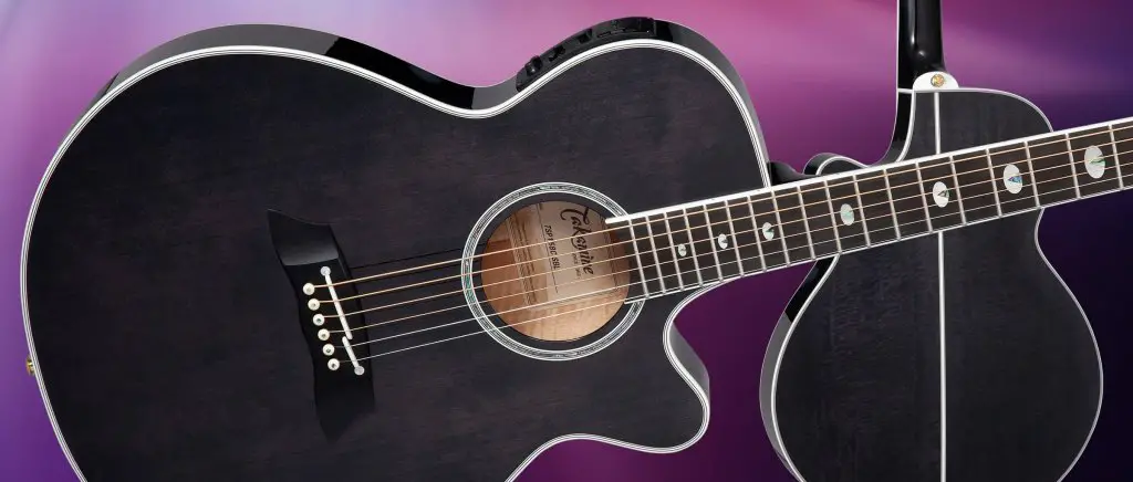 Win A $2,100 Acoustic Guitar In The ESP Guitars Takamine Thinline Series Guitar Sweepstakes