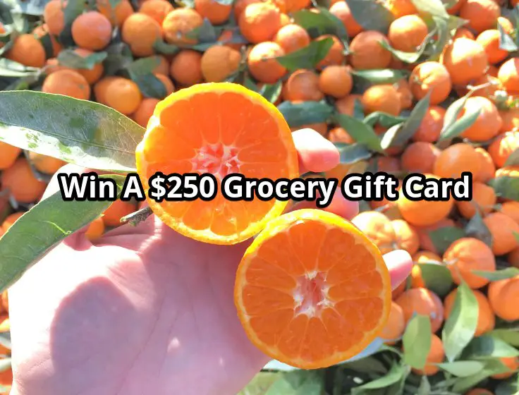 Win A $250 Grocery Gift Card
