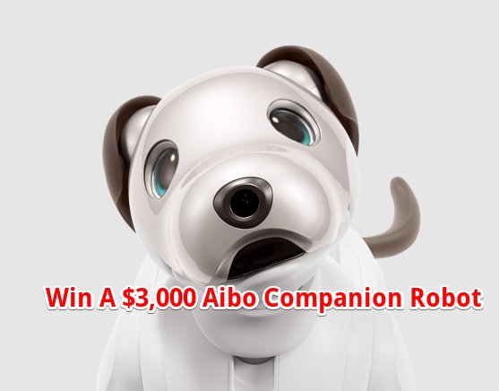 Win A $3,000 Sony Aibo Companion Robot In The AvaWatz Aibo Giveaway