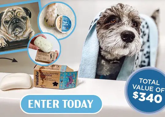 Win A $340 Pet Care Pack In The Animal Wellness Magazine Washbar Contest