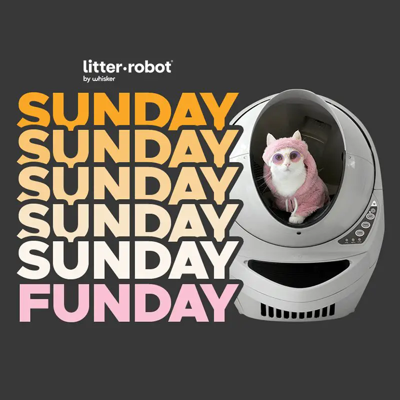 Win A $549 Self Cleaning Cat Litter Box In The Litter-Robot Sunday Funday Sweepstakes