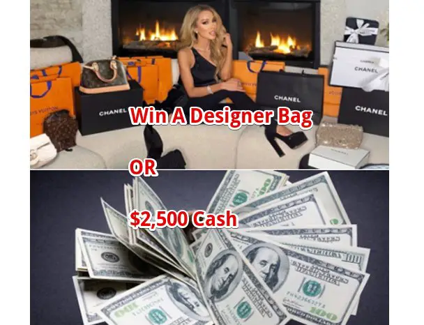 Win A Designer Bag Or $2,500 Cash In The BGB Marketing Lisa Hochstein Giveaway