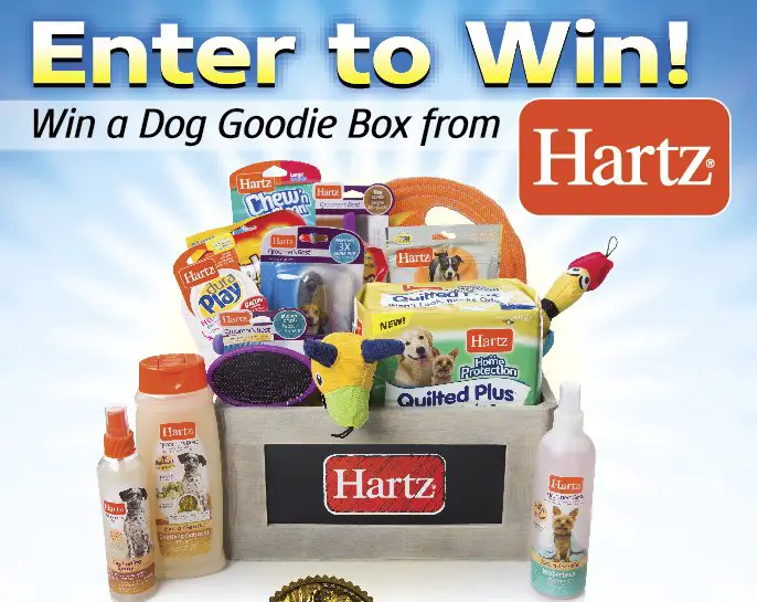 Win a Dog Goodie Box
