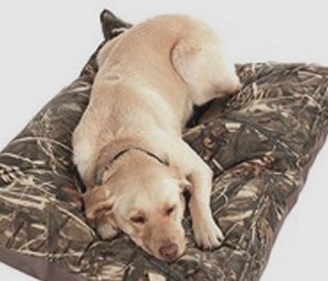 Win a Free Camo Dog Bed