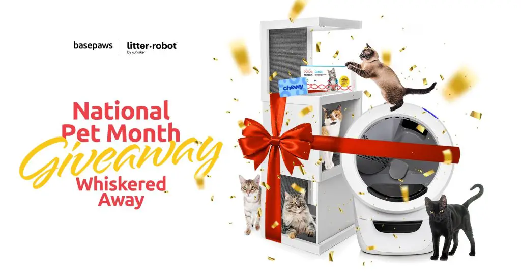 Win A Litter Robot + Cat DNA Test Kit + Cat Tower + Chewy Gift Card