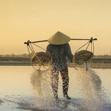 Win a Trip for 2 to Vietnam Sweepstakes