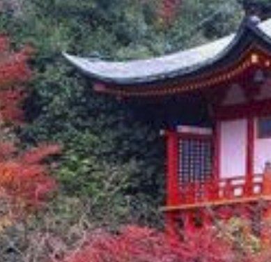 Win a Trip to Japan Sweepstakes