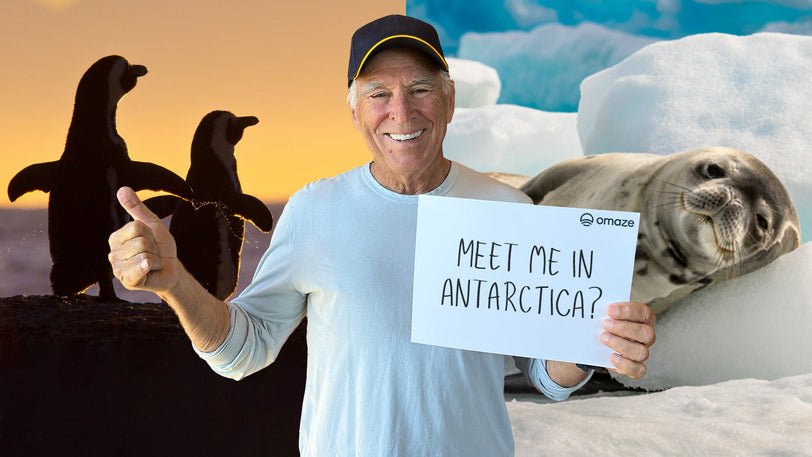 Win An 11-day Antarctica Adventure + Performances By Jimmy Buffett In The Omaze Antarctica Sweepstakes