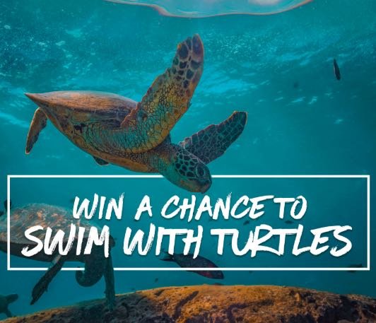 Win an Adventure Trip to the Galapagos Islands