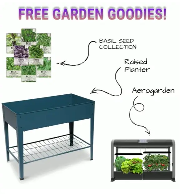Win An Aero Garden, Raised Bed & Seed Pack In The SeedNeeds.com Garden Goodies Bundle Giveaway