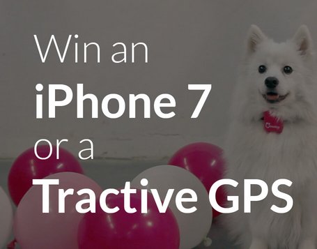 Win an Apple iPhone 7 or Tractive GPS