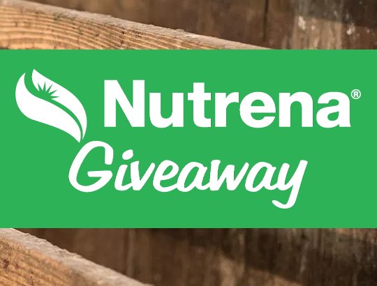Win Chicken Feed For A Year, A Cooler And $500 Gift Card In The Nutrena Chicken Feed Giveaway