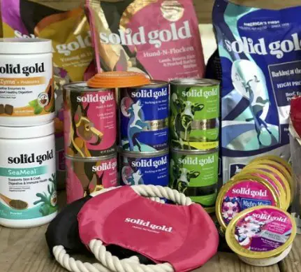 Win Custom Solid Gold Prize Package for Dogs