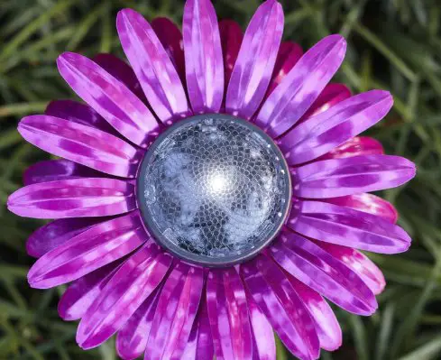 Win Desert Steel Solar Lights