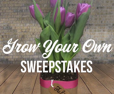 Win Free Juice & Seeds for Your Garden