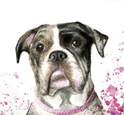 Win Free Pet Portraits