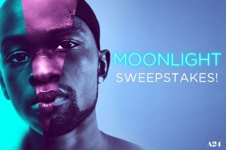 Win the Landmark Moonlight Sweepstakes!