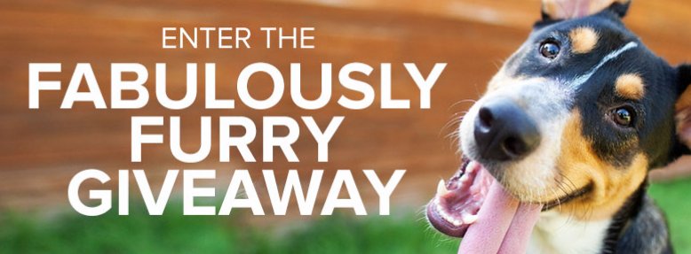 Win Pet Food for a Year!