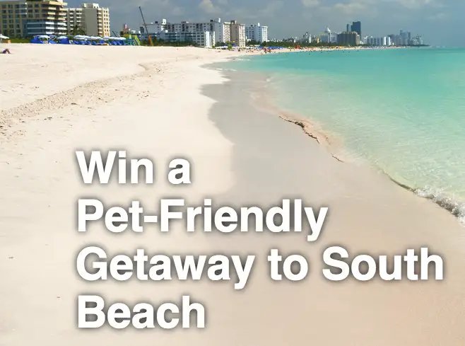 Win a Pet-Friendly Getaway to South Beach!