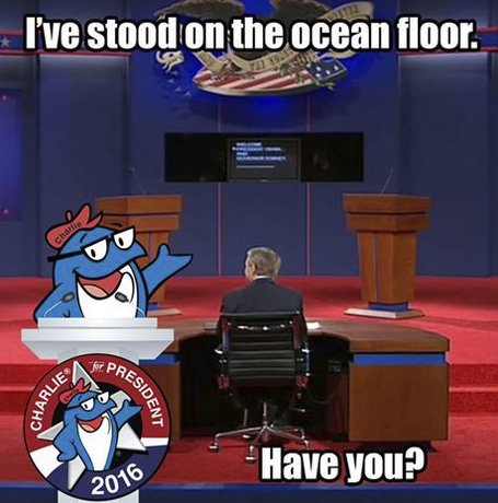 Win StarKist Tuna for 4 Years! Tons of Tuna!