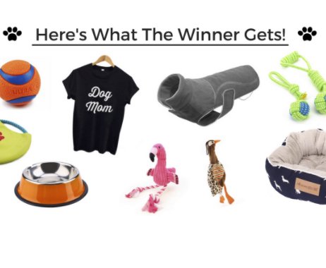 Win the Perfect Doggy Mommy Package!