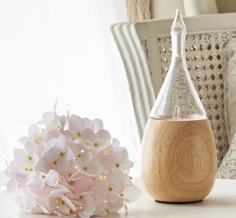Win The Raindrop Nebulizing Diffuser