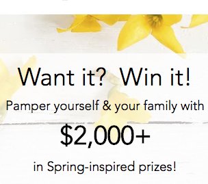 Wine or Cheese? Sweepstakes