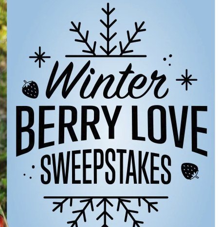 Winter Berry Love