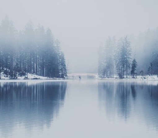 Winter Wonderland Photography Contest