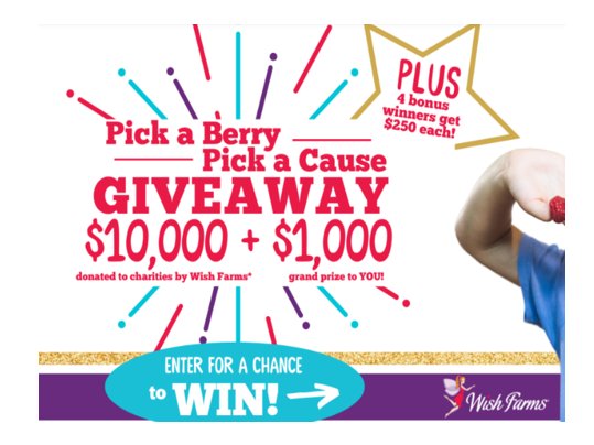 Wish Farms Pick A Berry Pick A Cause Giveaway - Win $1,000 in VISA gift cards