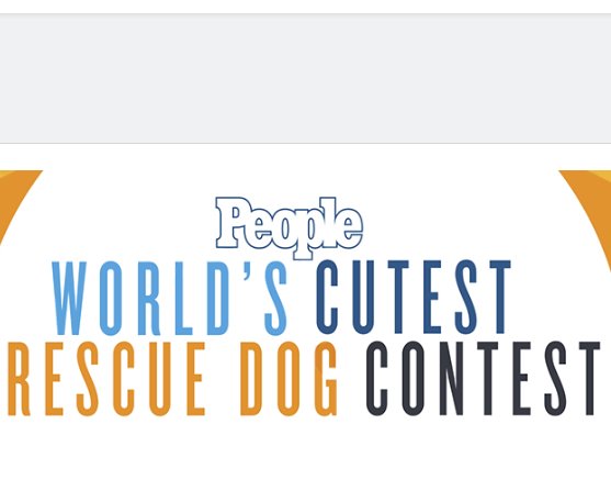 World’s Cutest Rescue Dog Sponsored by Pedigree Contest