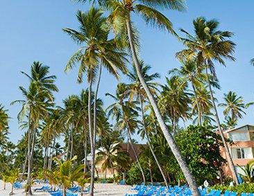 Yay!cation Sweepstakes