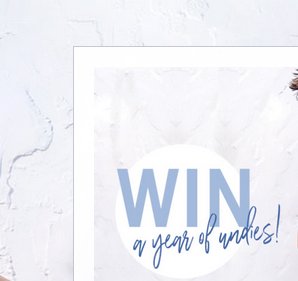 Year's Supply of Underwear Sweepstakes