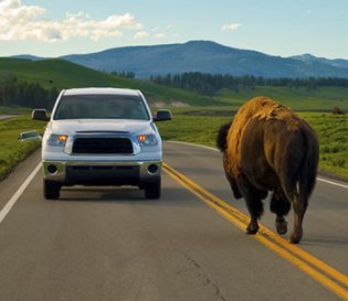 Yellowstone Vacation Giveaway