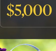 Your $5,000 Dream Outdoor Sweepstakes