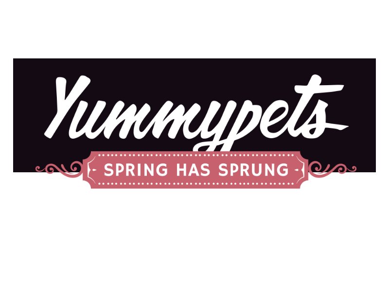 Yummypets Spring Has Sprung Giveaway - Win an iPad, Instant Cameras & More