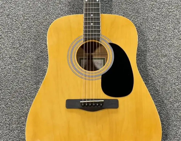 Zager Guitar Giveaway - Win A Zager Easy Play Custom Guitar + Accessories
